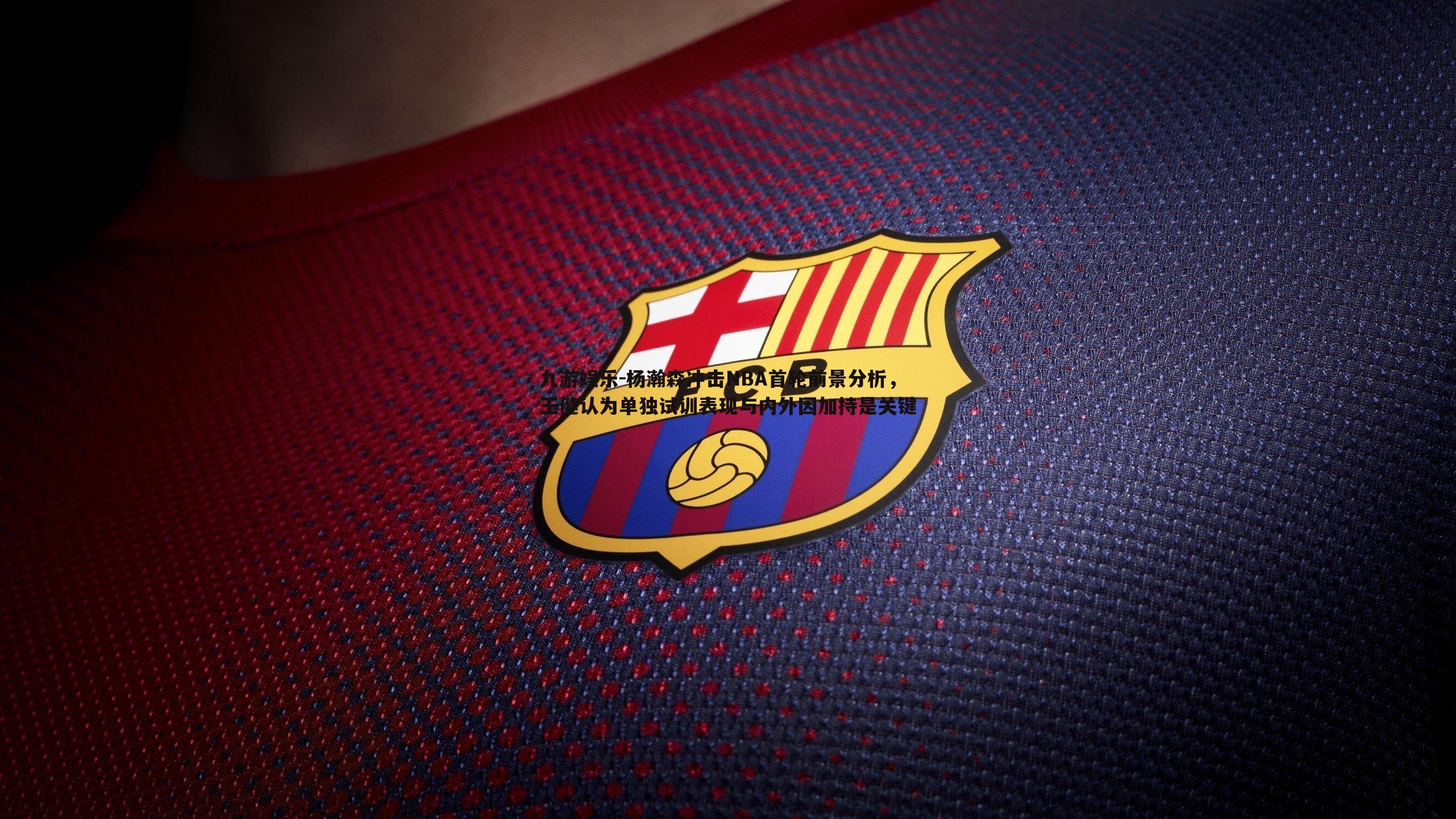 杨瀚森冲击NBA首轮前景分析，王健认为单独试训表现与内外因加持是关键